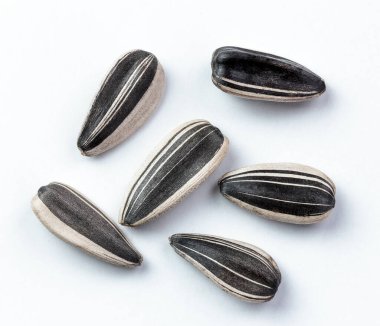 Ayçekirdeği gruptaki izole edilmiş beyaz arkaplan