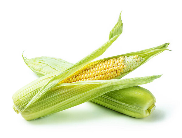 натуральный сладкий кукуруза изолированный белый фон