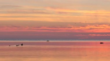 Ördekler Gotland Adası, Güney İsveç suda. Adanın Baltık Denizi'nde bulunan.