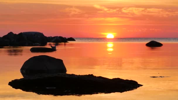 Pôr Sol Ilha Gotland Sul Suécia Esta Paisagem Visível Visby — Vídeo de Stock