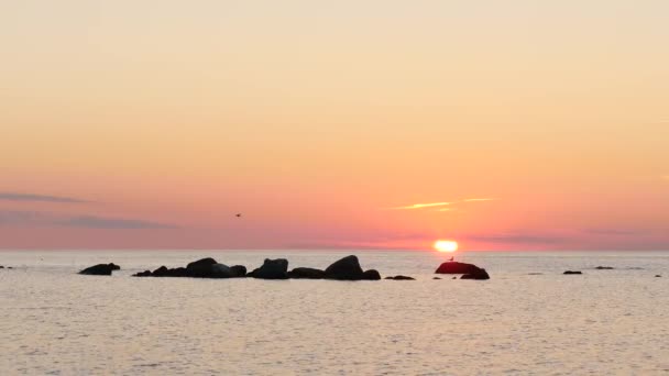Sonnenuntergang Auf Der Insel Gotland Südlich Von Schweden Diese Landschaft — Stockvideo