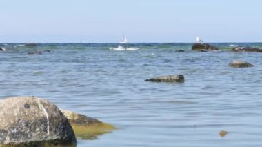 Yaz aylarında Gotland Adası'nda. Martılar Baltık Denizi'ndeki buzlu koyulur. Coast kasaba Visby, adanın en büyük kenti yakınında. İsveç. Arka planda bir yelkenli geçer.