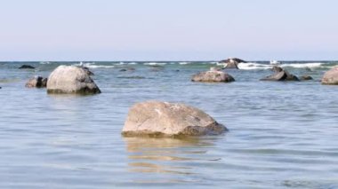 Yaz aylarında Gotland Adası'nda. Martılar Baltık Denizi'ndeki buzlu koyulur. Coast kasaba Visby, adanın en büyük kenti yakınında. İsveç.