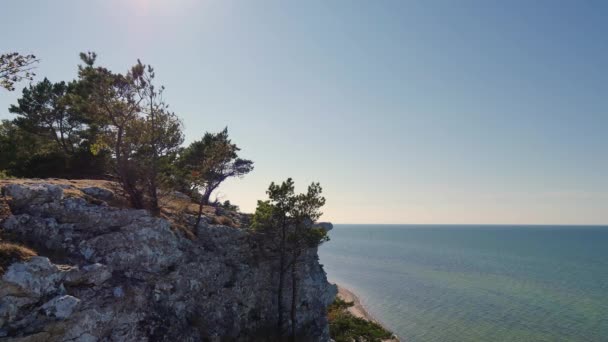 Gotland 海岛的风景 瑞典在夏天 Lickershamn 村附近 在前景的悬崖 与树木 在背景下 波罗的海 — 图库视频影像