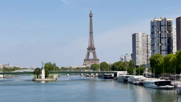 Paris Yaz Aux Cygnes Sonunda Grenelle Köprüsü Yanında Bulunan Anıtı — Stok video