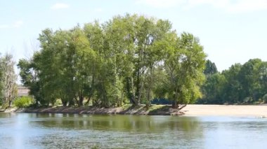 Bir Fransız kasabası yakınındaki Orlans, Loire nehirde büyüyen ağaç görünümü.