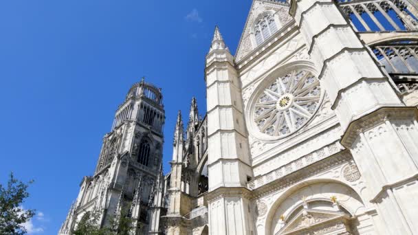 Orlans のフランス都市 Frencg サント クロワ と呼ばれる大聖堂があります ビューを閉じて 大聖堂の塔の下 大きなバラを見ることができます — ストック動画