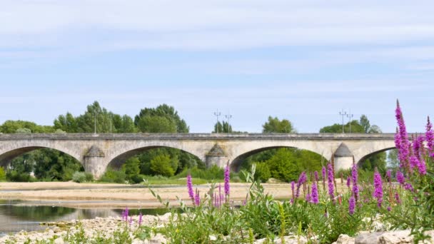 Orlans Prefecture Commune North Central France Landscape George Bridge Purple — Stock Video