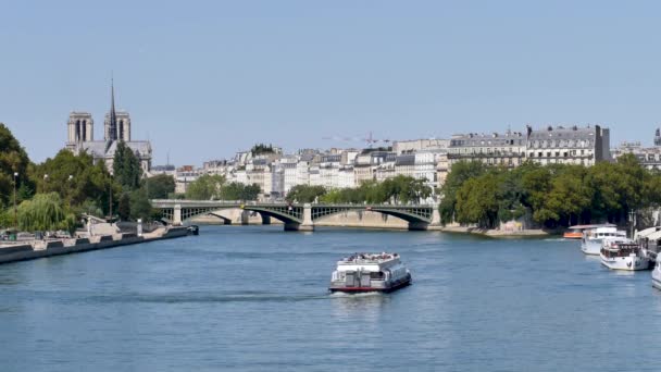 在塞纳河上 巴黎河和 在巴黎市中心的一个岛屿 在夏天的看法 在背景 有著名的巴黎大教堂称为巴黎圣母院巴黎 — 图库视频影像