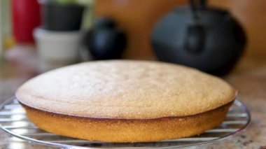 Bir pasta sadece bir mutfak fırın dışında ele geçirildi. Hala sıcak ve küçük bir duman çıkan. 