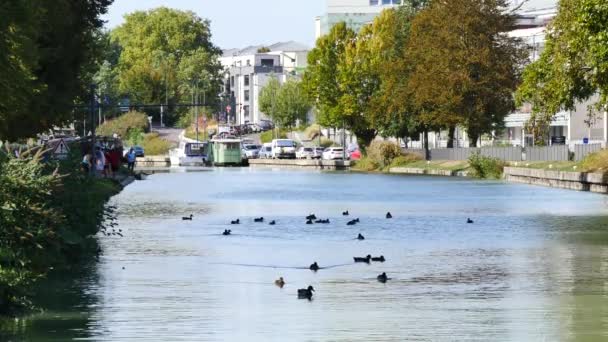 在兰斯的运河 法国巴黎以东的一个小镇 有一条运河连接 Aisne 到马恩 在运河岸边 步行是可能的 鸭子在水上 — 图库视频影像