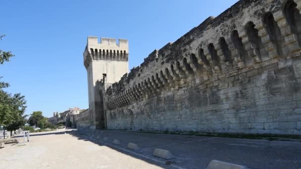 Avignon Surlar Panoraması Onun Eski Şehir Surları Korunmuş Birkaç Fransız — Stok video