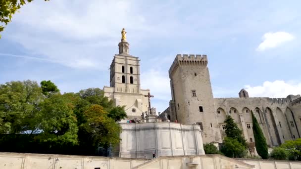 Panorama Van Stadsmuren Van Avignon Het Een Van Weinige Franse — Stockvideo