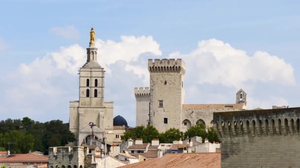 Papalık Sarayı Avignon Güney Fransa Yer Alan Tarihi Bir Sarayı — Stok video