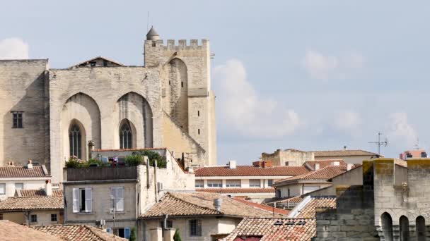 Papalık Sarayı Avignon Güney Fransa Yer Alan Tarihi Bir Sarayı — Stok video