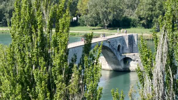 アヴィニョン フランス南部の有名な古い橋の上からの眺め またと呼ばれる ベネゼ橋 または Bnzet フランス橋は都市の主要な観光名所の一つ — ストック動画