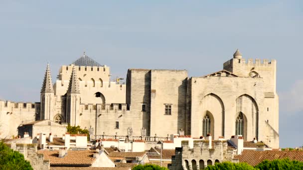 Palais Des Papes Ngilizce Papalık Sarayı Avignon Güney Fransa Yer — Stok video