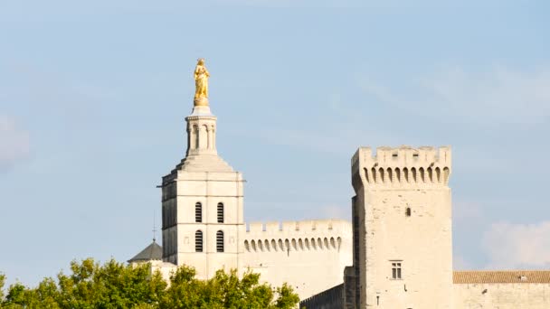 教皇宮殿は フランス南部のアヴィニョンにある歴史的な宮殿です ヨーロッパで最大かつ最も重要な中世ゴシック建築の一つです — ストック動画