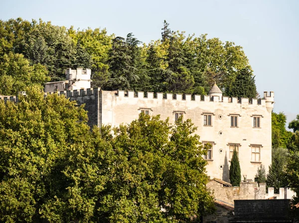 Папский Дворец Исторический Дворец Расположенный Авиньоне Юге Франции Одно Самых — стоковое фото