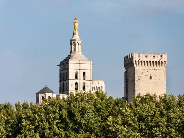 Papal Palace Historical Palace Located Avignon Southern France One Largest — Stock Photo, Image