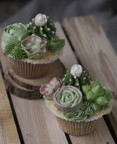 Cupcakes Decorated Creamy Succulents Wooden Background — Stock Photo, Image