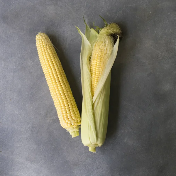 İki gri bir arka plan üzerinde Mısır koçanı