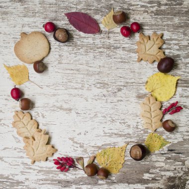 Sonbahar kompozisyon. Yapılan kuru yaprakları, kestane, meşe palamutları, alıç ve kızamık meyve, çelenk çerezleri beyaz eski ahşap zemin üzerine bırakır. Düz yatıyordu, en iyi görünüm, kopya alanı.