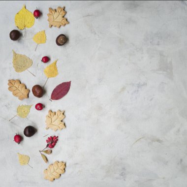 Sonbahar kompozisyon. Kurutulmuş yaprakları, tanımlama bilgileri, kestane, alıç ve kızamık meyve gri bir arka plan üzerinde. Sonbahar, Güz, Cadılar Bayramı kavramı. Düz yatıyordu, en iyi görünüm, kopya alanı