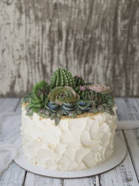 Kek krem succulents beyaz kumaş ile beyaz ahşap zemin üzerinde ile dekore edilmiştir. Alanı kopyalayın, kadar en iyi görünümü Kapat