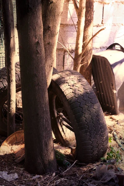 Discarded tires and junk dumped in a backyard