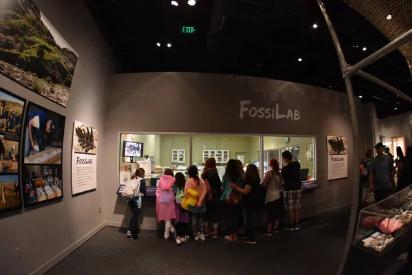 美国华盛顿特区 2018年5月17日 位于国家历史博物馆国家购物中心每年开放364天 近8成千上万的免费入场访客 — 图库照片