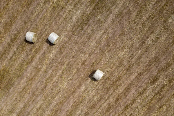 パックされた干し草ベールの空撮収穫麦畑の飼料ボール — ストック写真