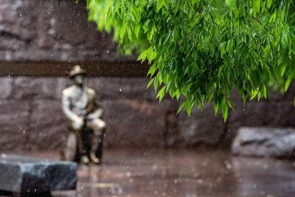 雨の中 ワシントン の詳細の下でルーズベルト記念像 — ストック写真