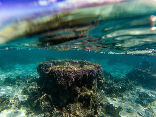 Großer Korallenturm Polynesiens Unter Wasser Beim Schnorcheln — Stockfoto