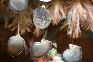 Polinezyası kabuk necklage yakın çekim