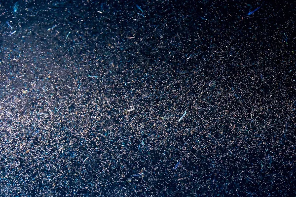 オキアミ海マクロの詳細 — ストック写真