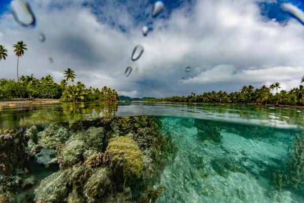 フランス領ポリネシアの青緑色の水のラグーンと虹でシュノーケ リング — ストック写真