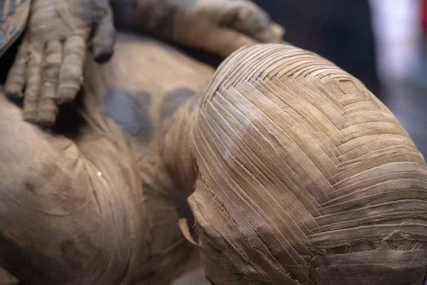 Egyptische Mummie Hoofd Close Detail — Stockfoto