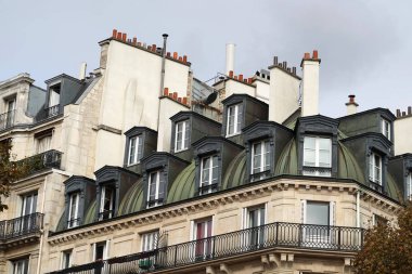 Paris çatı baca ve cityview peyzaj