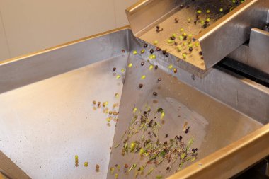 sızma zeytin yağı fabrikası fabrika İtalya