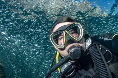 Scuba diver dev içinde derin mavi denizde balık sürüsü sardalyaları
