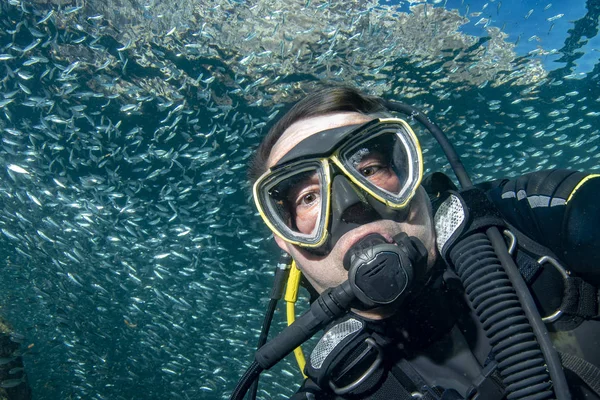 水肺潜水员里面一个巨人沙丁鱼群鱼在深蓝色的大海 — 图库照片
