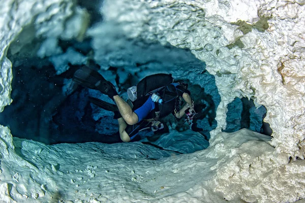当鱼翅混合盐和淡水时 在墨西哥的洞穴中潜水时 卤素效应 — 图库照片