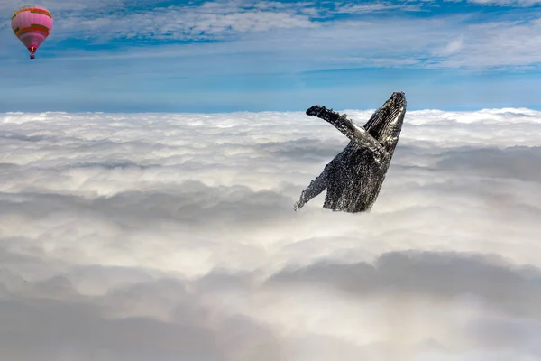 気球空雲にジャンプするザトウクジラ — ストック写真