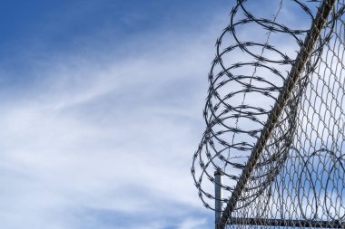 Mavi gökyüzü arka planında dikenli tel çit
