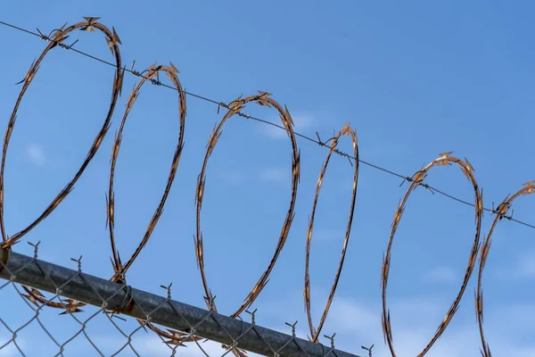 Barbed Wire Fence Blue Sky Background — Stock Photo, Image
