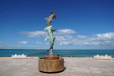 La Paz Baja California Sur, Meksika sahil deniz gezinti yerinin yakınında köpekbalığı heykel dövülmüş Malecón denilen