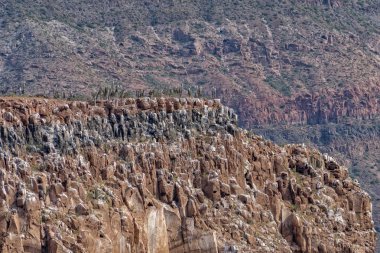 kaktüs ve dağlar panorama Baja California Sur kayalar çöl manzara görünümü cortez deniz