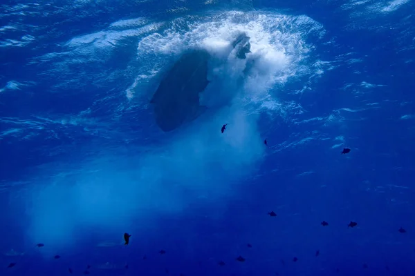 舶用エンジンのプロペラ水中ダイビング詳細閉じる中 — ストック写真