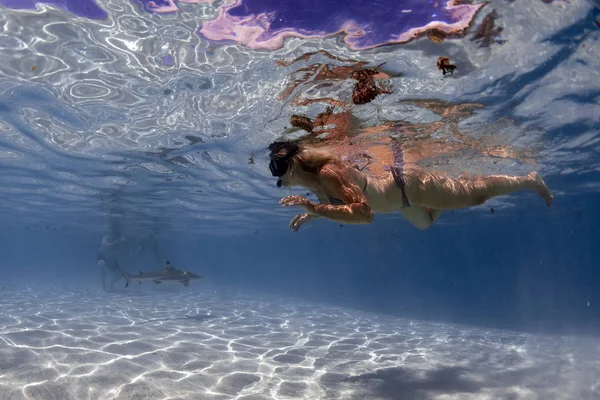 Snorkeling Lagoa Água Turquesa Polinésia Francesa Com Arraia — Fotografia de Stock